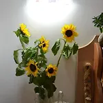 Anna's Family Bed & Breakfast Napoli