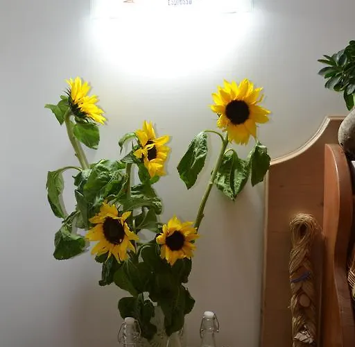 Anna's Family Bed and Breakfast Νάπολη